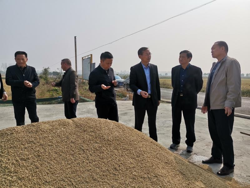万士其局长赴舒城寿县督导调研秋粮收购工作