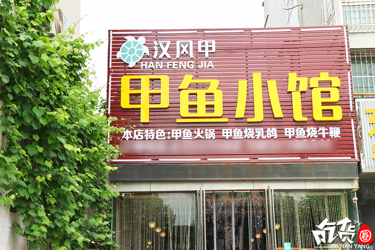 南阳这家甲鱼店,天天排队,生意真好