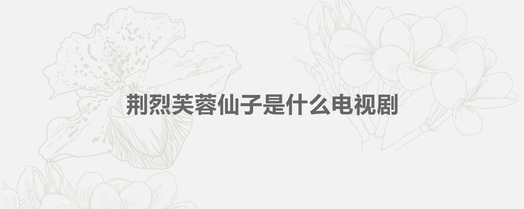 荆烈芙蓉仙子是什么电视剧,这部剧是哪一年播出的?