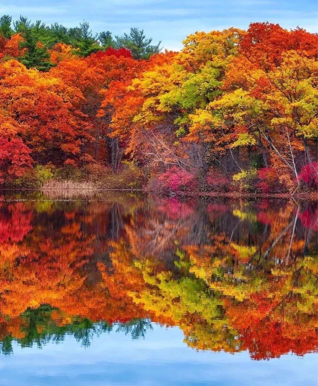 秋色的图片大全唯美图片