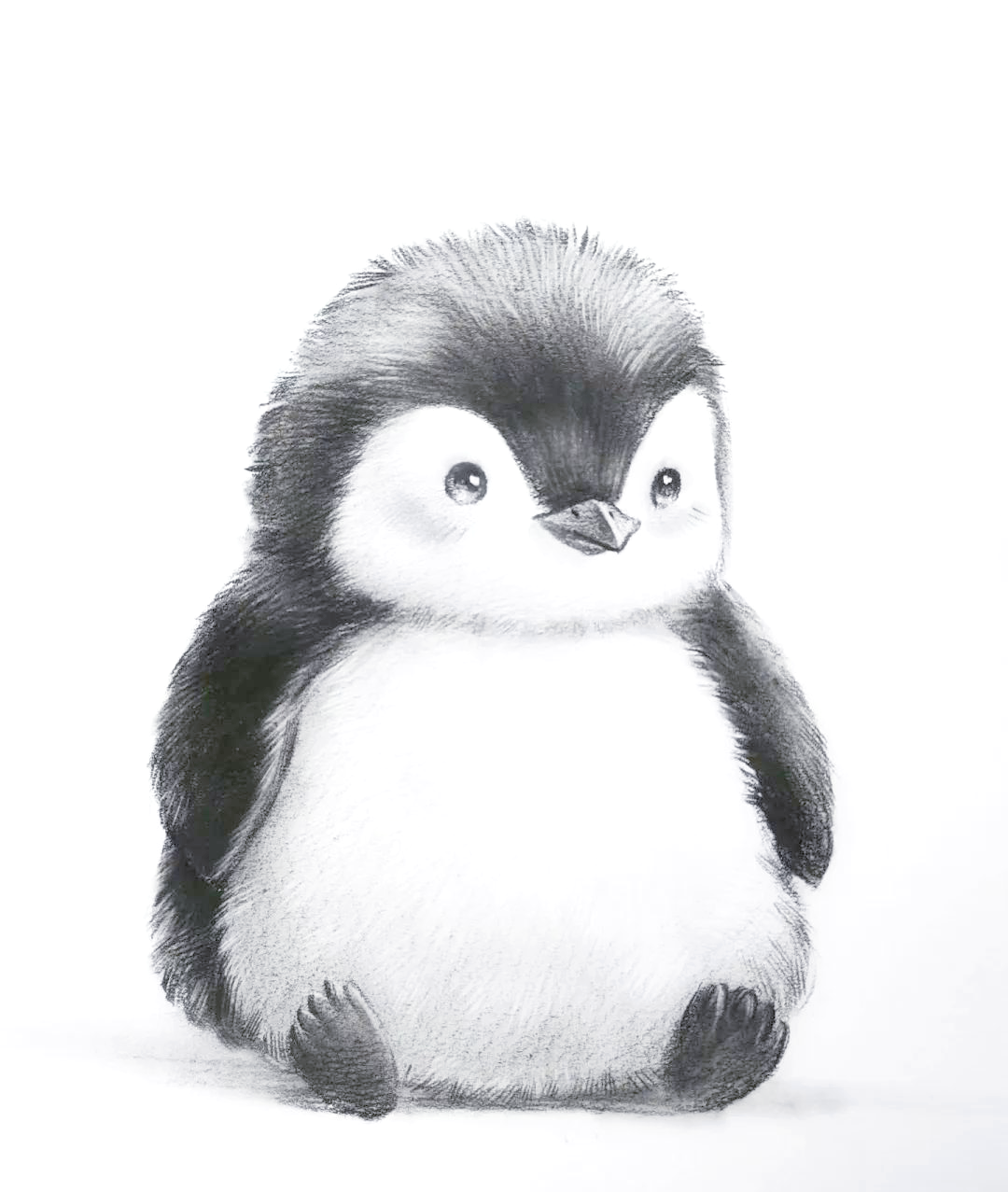 多种适合初学者练习的动物素描欣赏,超可爱!