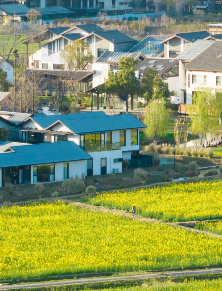 推荐线路>推荐线路:磨滩旅游度假区>方兴湖公园>合肥滨湖国家森林公园