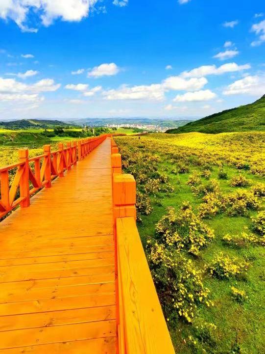 【文旅原创】探秘临夏:采集人与自然的故事(积石山篇)