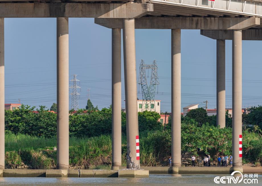 广州番禺北斗大桥桥墩被撞开裂 大桥封闭