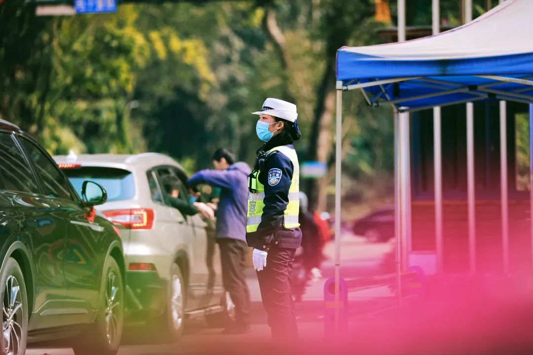 节日我在岗踏青青山相待白云相爱