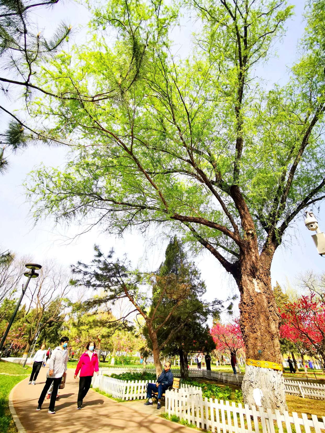 丰台百姓家门口的公园——万芳亭公园