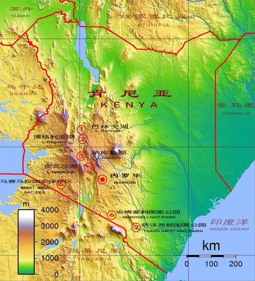 阴魂不散的宗主国:茶叶出口世界第一,肯尼亚为何喝不起茶