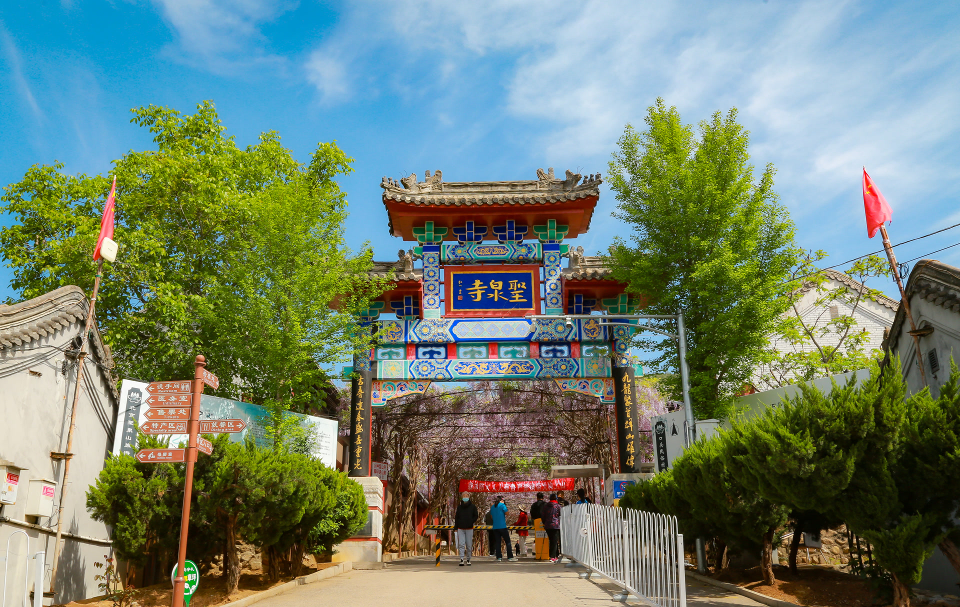 能赏紫藤花,还能登山徒步,怀柔圣泉山五一迎客来