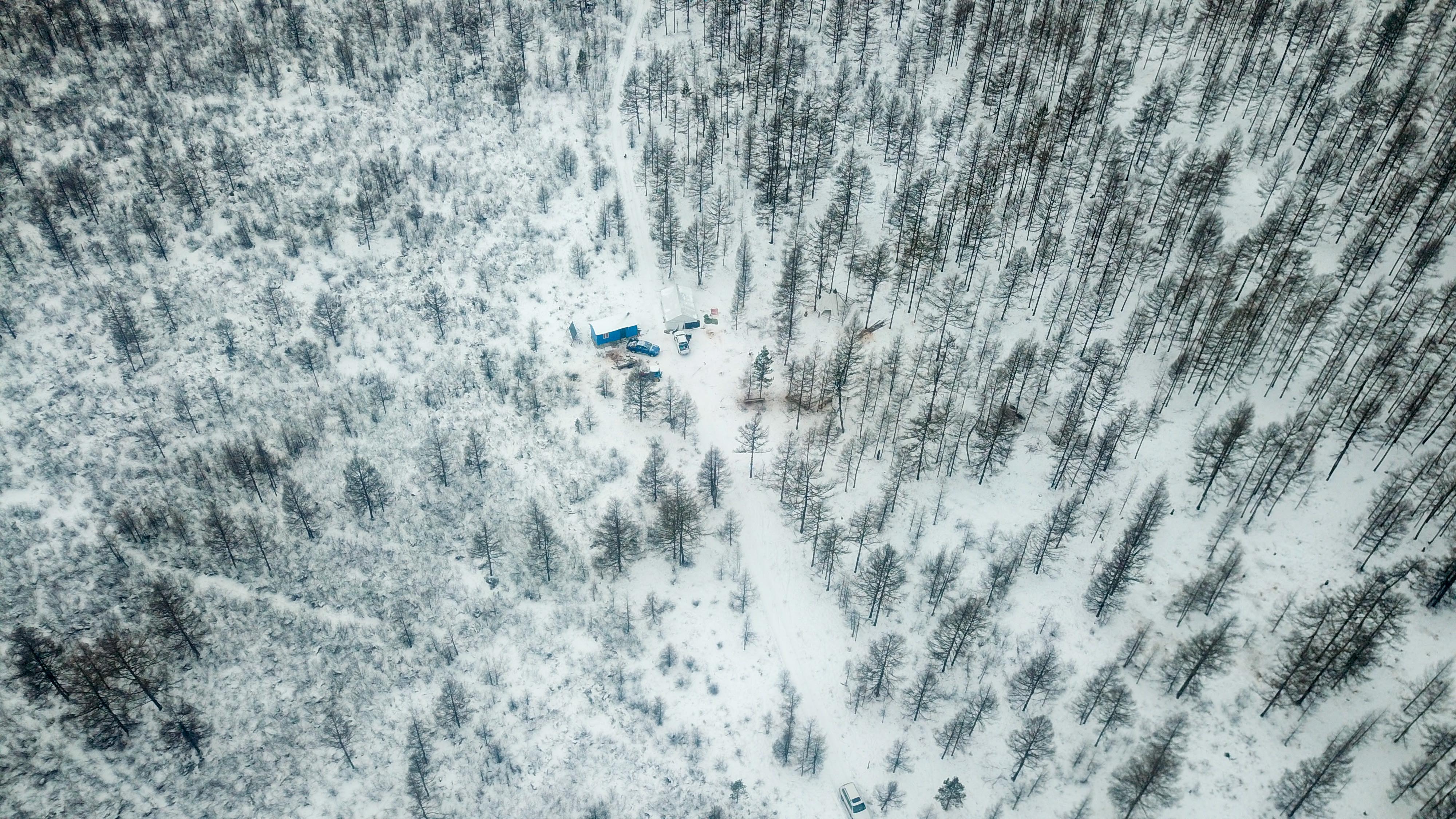 新华全媒 |使鹿部落驯鹿饲养人觉乐的"荒野生存"