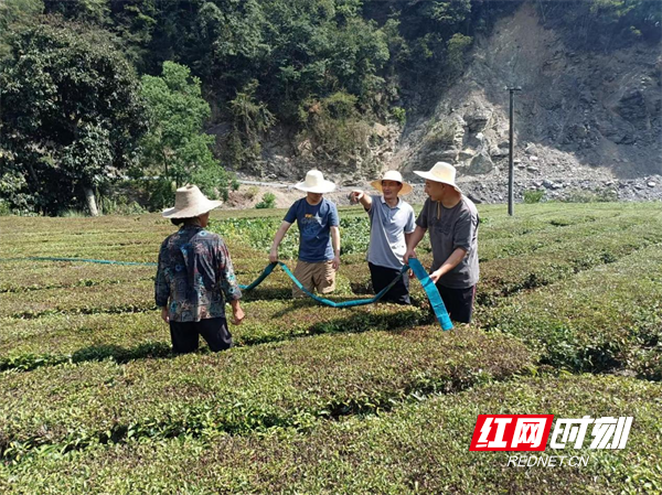 石门县罗坪乡图片