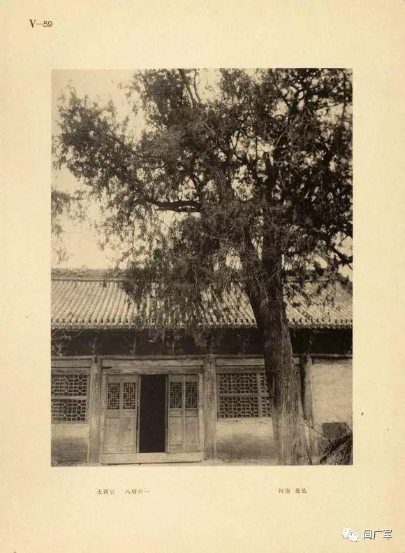 100年前的鹿邑太清宫等老照片发现经过