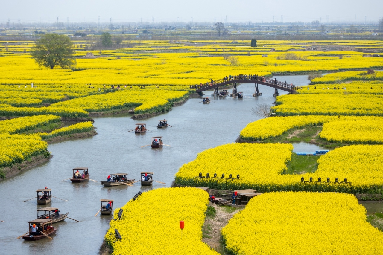 泰州兴化旅游景点图片