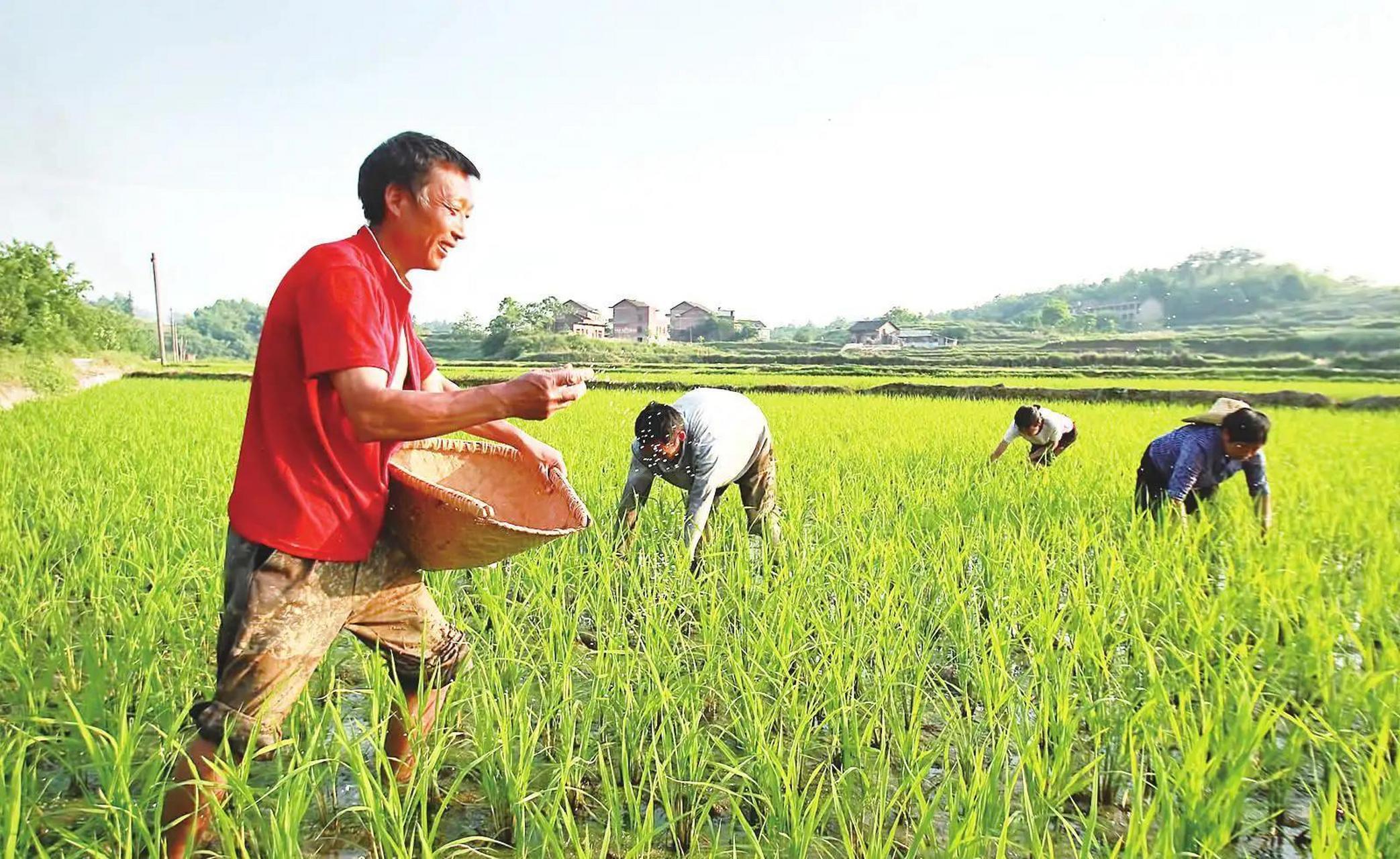 今天是五一国际劳动节,是劳动人民自己的节日,各单位放假庆祝节日,可