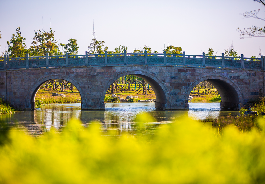 今天起,颍州西湖开放预约!免费!