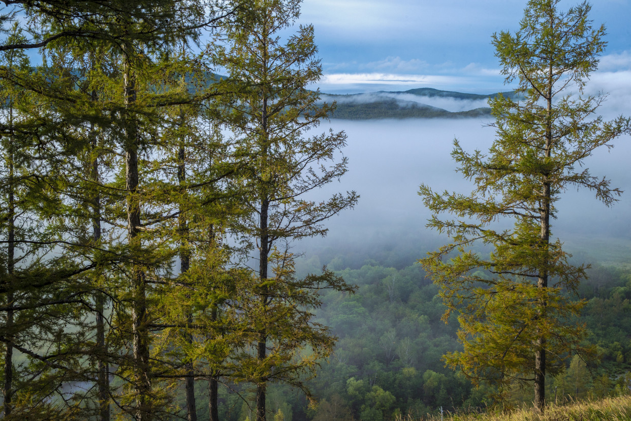伊图里河:自然生态宛若仙境