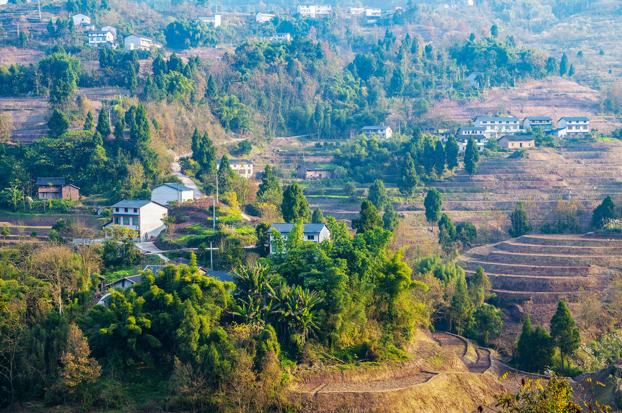 重庆綦江:冬日乡村别样美