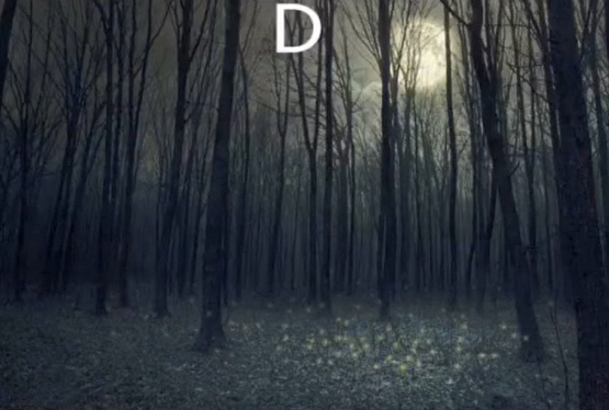 心理测试:四片森林,你最恐惧哪个?测测你会因为什么感到害怕