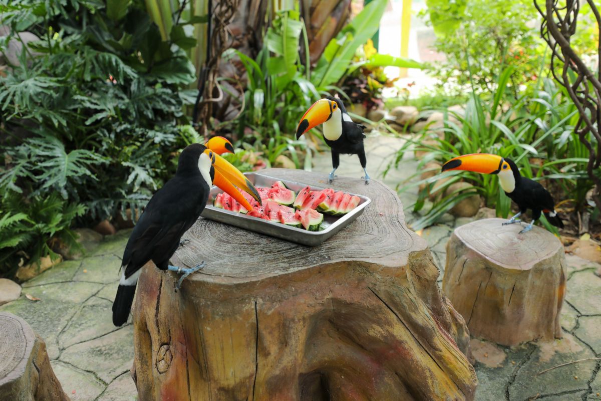 清凉过大暑 灵玲动物消暑有"凉方"