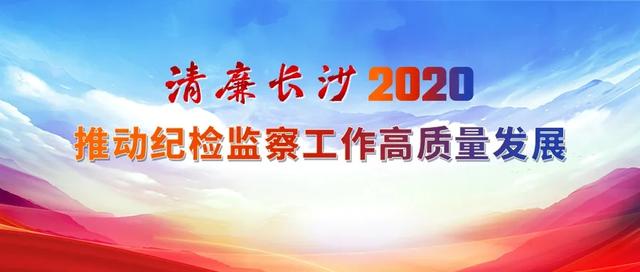 主动投案110人,全链条整治围标串标问题……一体推进