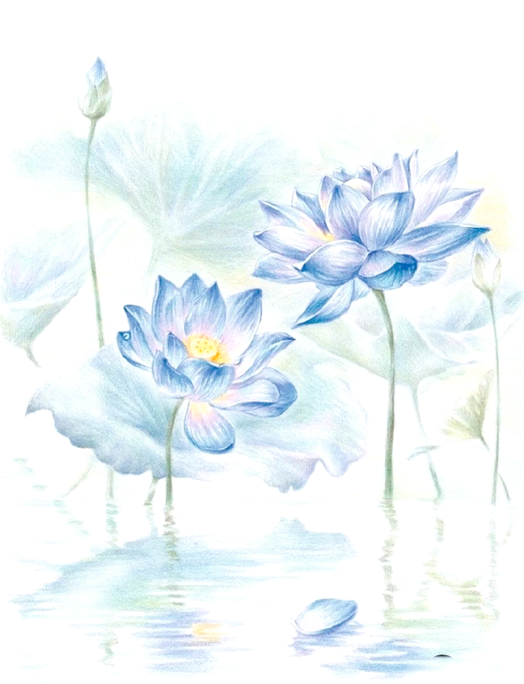 此外,彩铅还可用于素描,速写,插画等多种创作形式,从而满足不同绘画