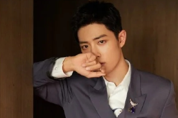 肖战同款,蒂芙尼石上鸟胸针