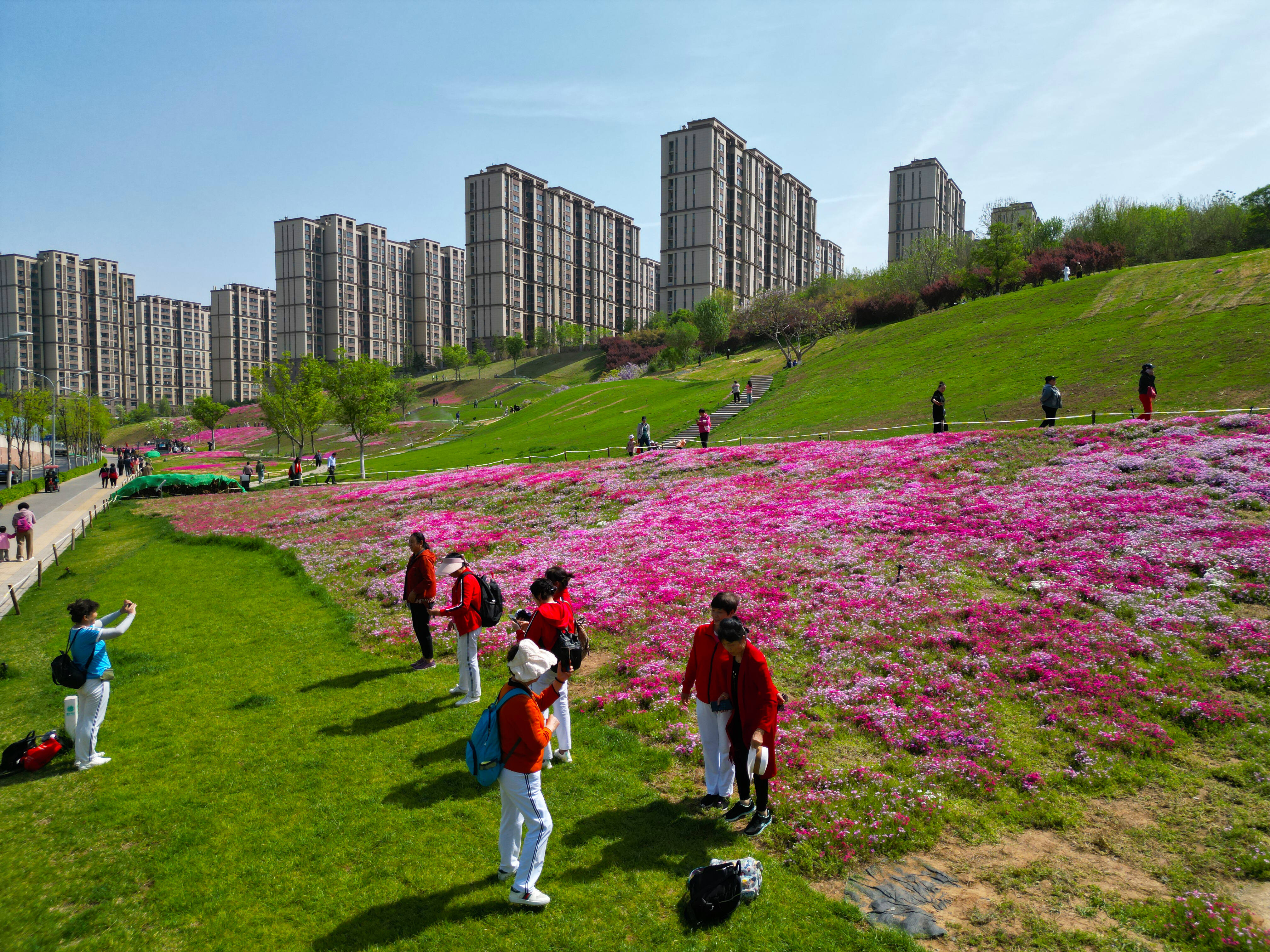 龙洞花海地址图片