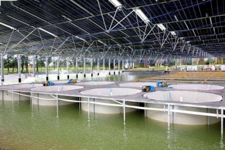 工厂化水产养殖怎样使用液氧供应模式