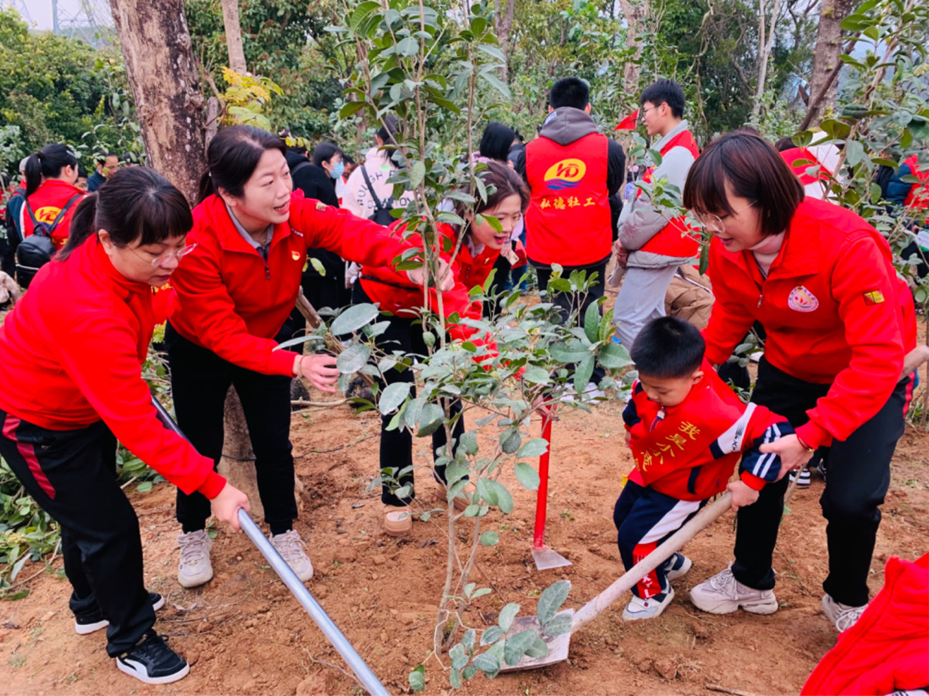 幼儿园植树节活动照片图片