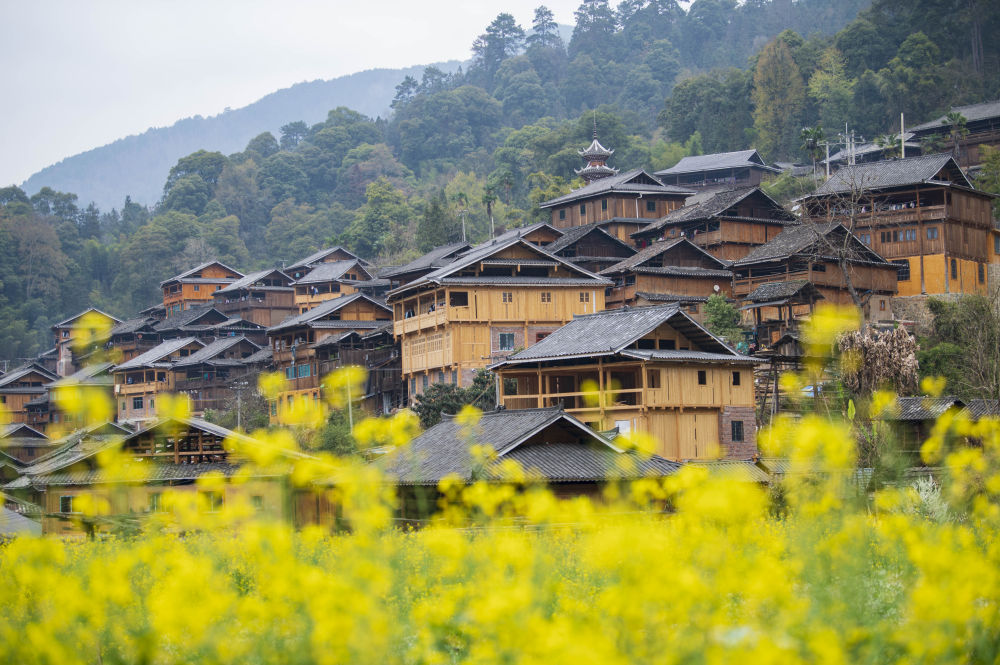 贵州从江:侗寨花开引客来