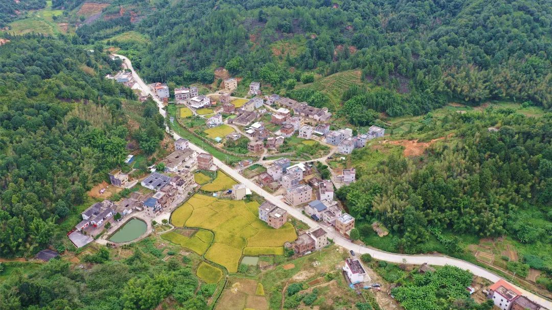 绿水青山间的"红色"祠堂!河源这个村打造红色文旅民宿村
