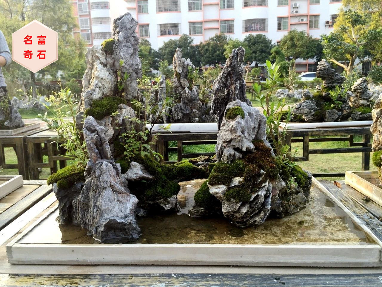 广州英德石-小型英石,小型假山摆景,英石批发