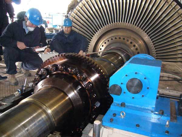 汽轮机在停机后,电动盘车的状态下可以停止关闭交流油泵吗?