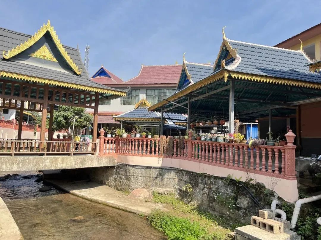 2月25,26日!勐腊县关累镇邀您共度首届乡村旅游文化节暨摸鱼节!