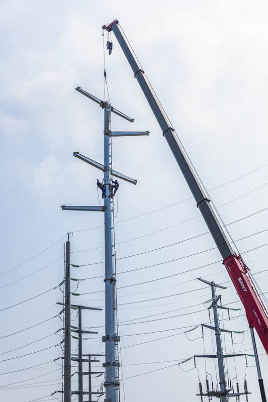 浙江温州:市域铁路电缆终端杆架设有序进行