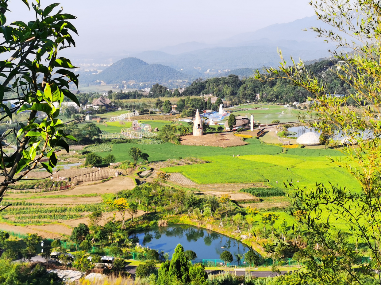 走进新时代 喜看壮乡美