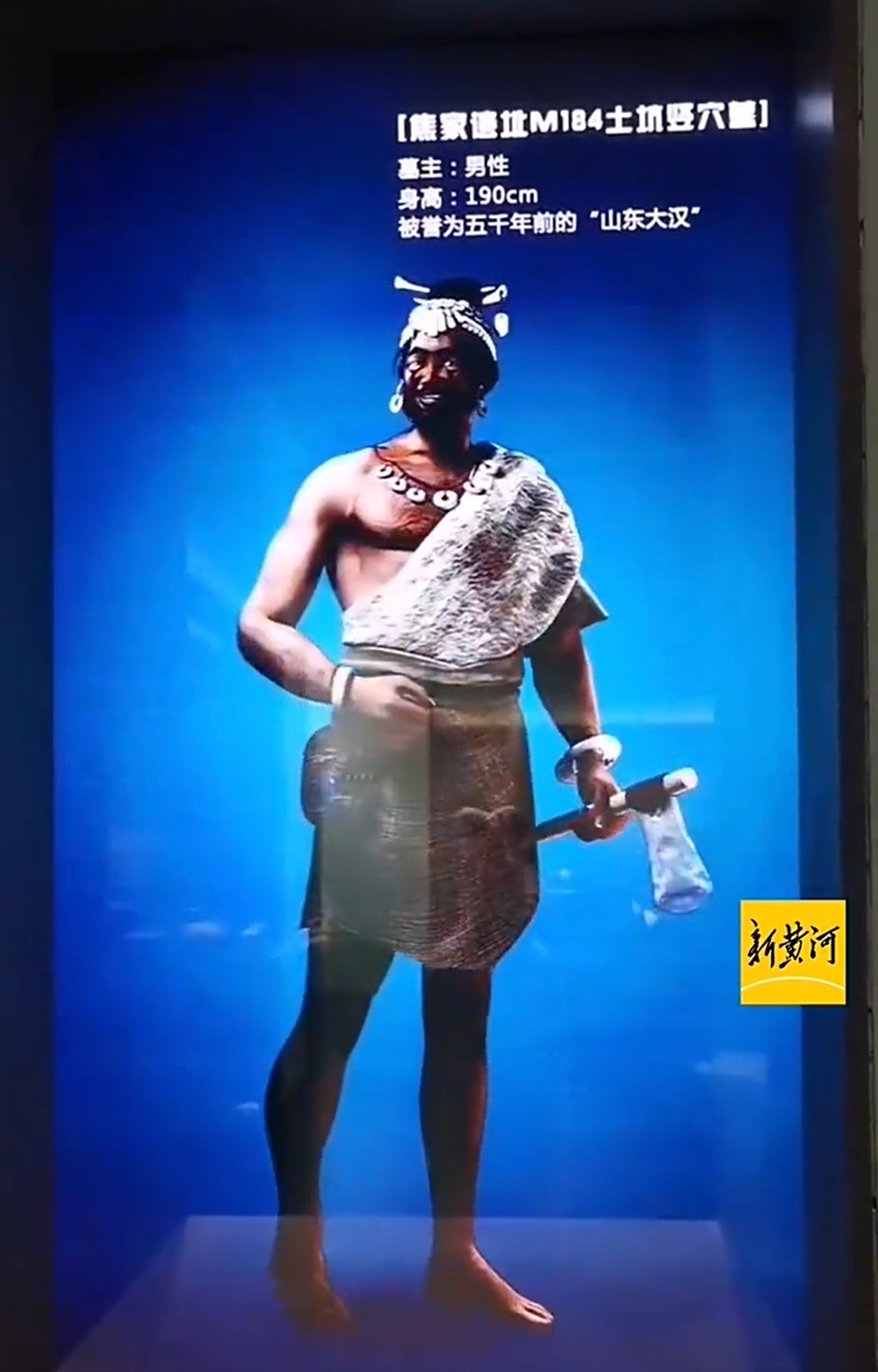 9米!"山东大汉"是祖传的