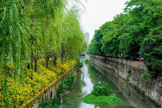 临平东湖街道图片