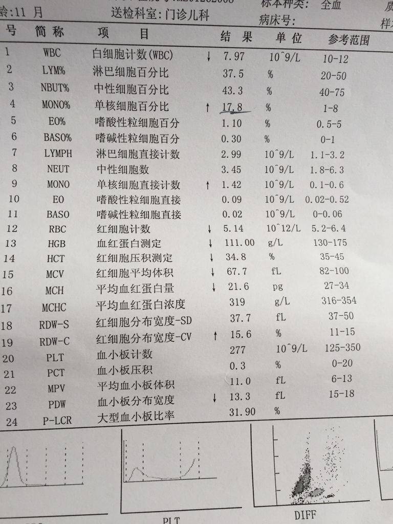 血常规33项明细图片图片