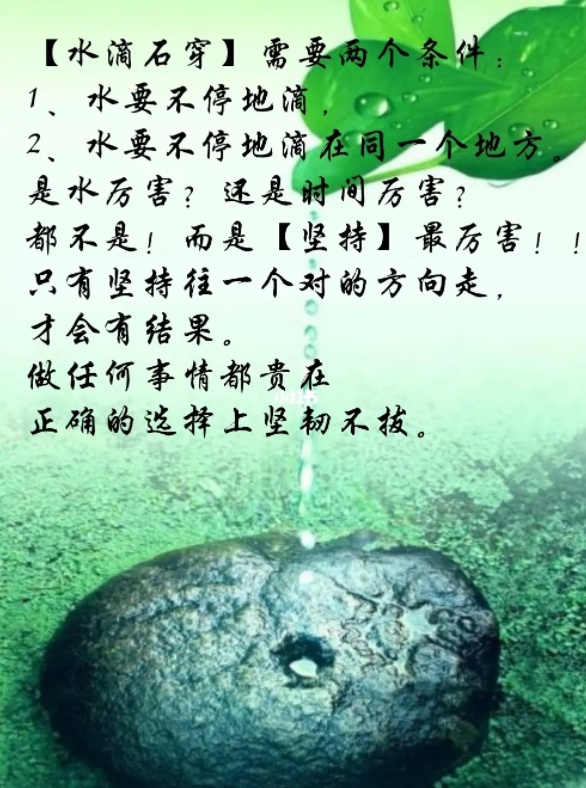 「花港二小」绳锯木断 水滴石穿——南京市花港第二