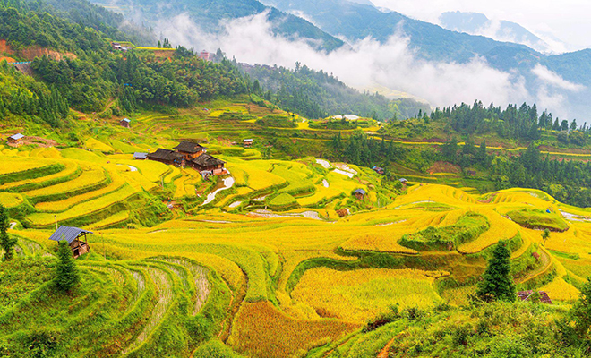 秋天记录旅行风光最治愈的黄金小众旅行地来看贵州加榜梯田