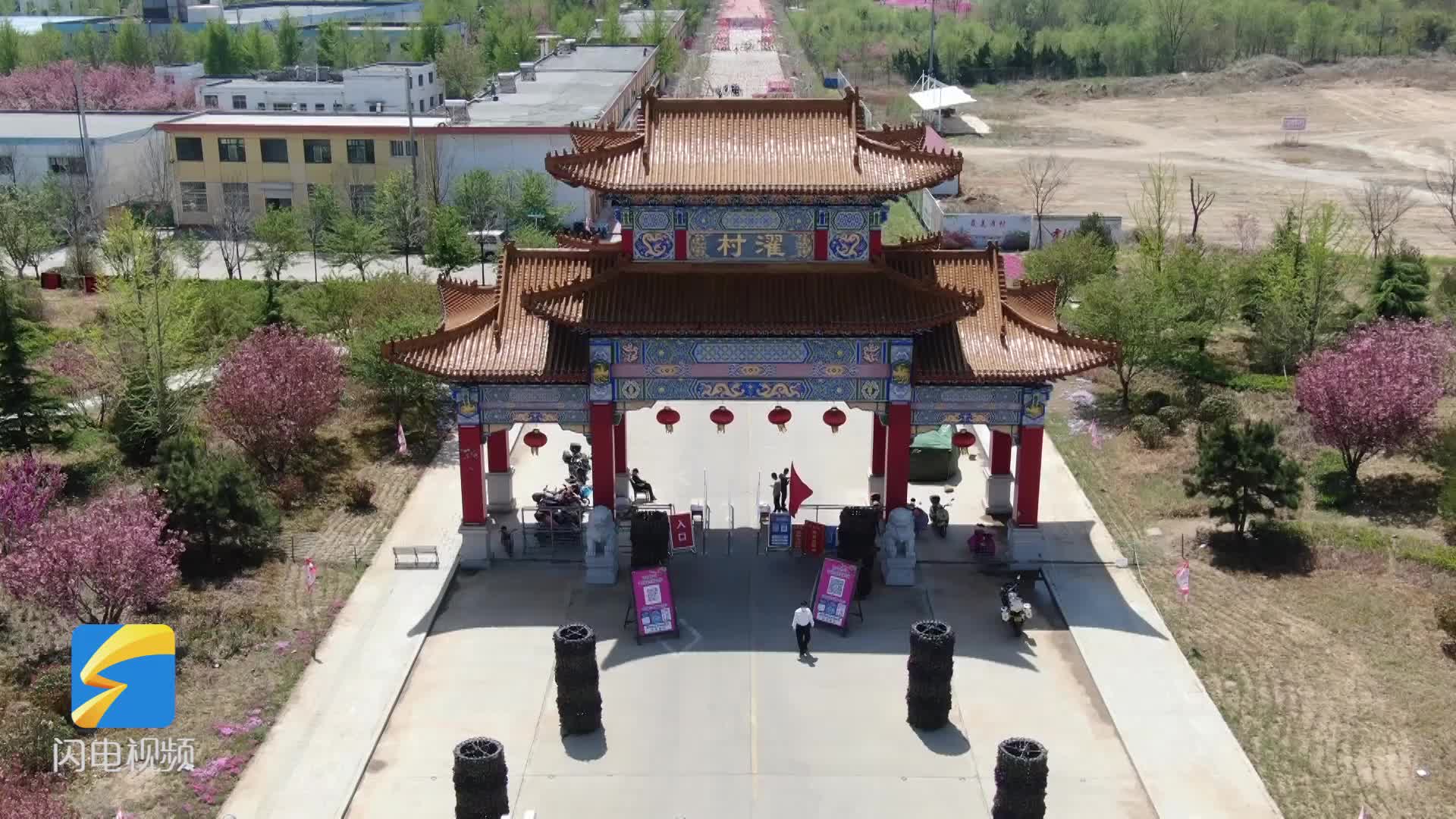 莱阳市姜疃镇濯村:樱花绽放春意浓 乡村振兴醉游人