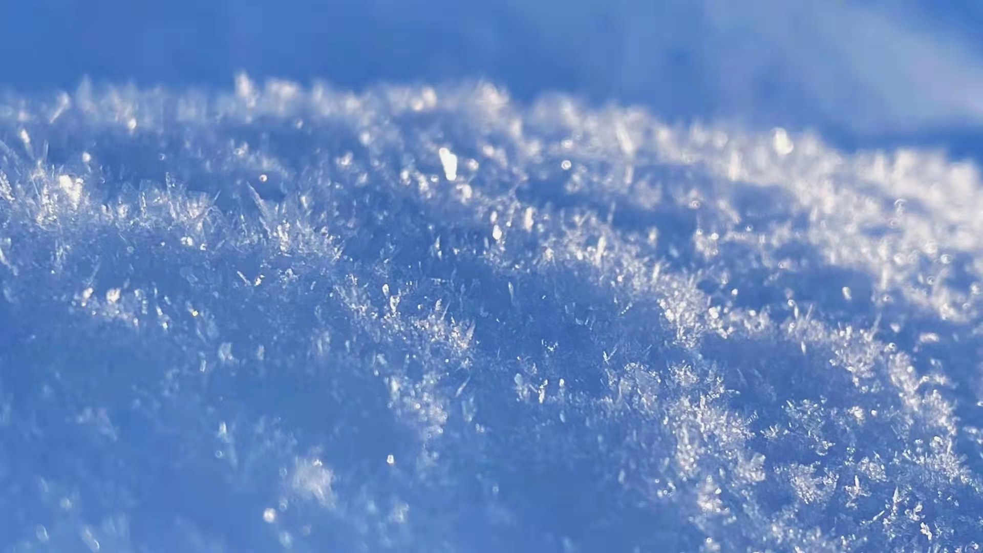 组图|建始:阳春白雪好风光