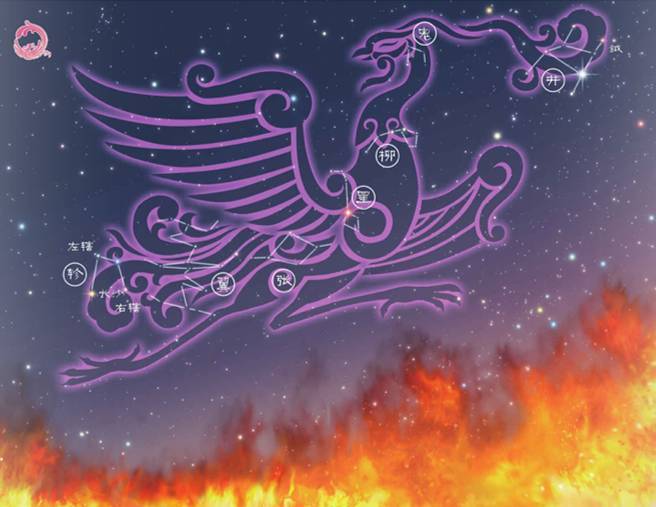 关于南方七宿,朱雀的形象如何解释?井宿是井还是网?