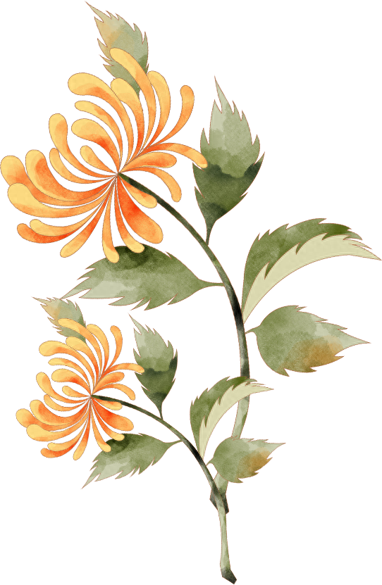 我们的节日重阳节边城镇开展爱满重阳节情暖老人心系列活动