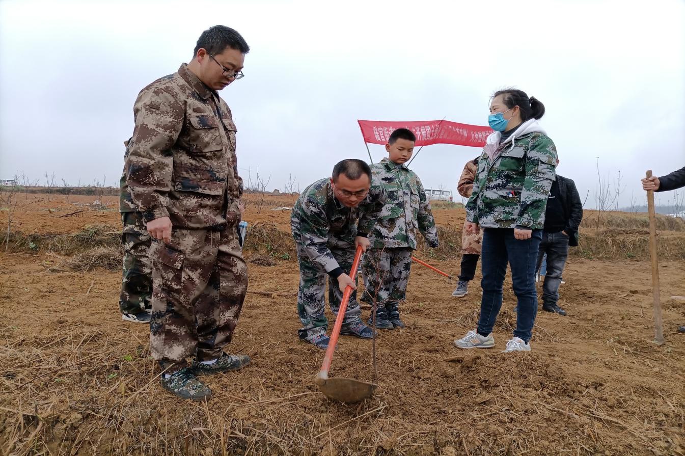 官街道退役军人服务站组织基干民兵,退役军人志愿服务队开展植树活动