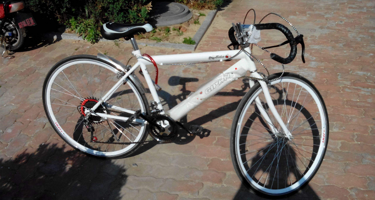 eg7自行车是什么牌子