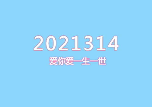 2021314代表什么意思图片