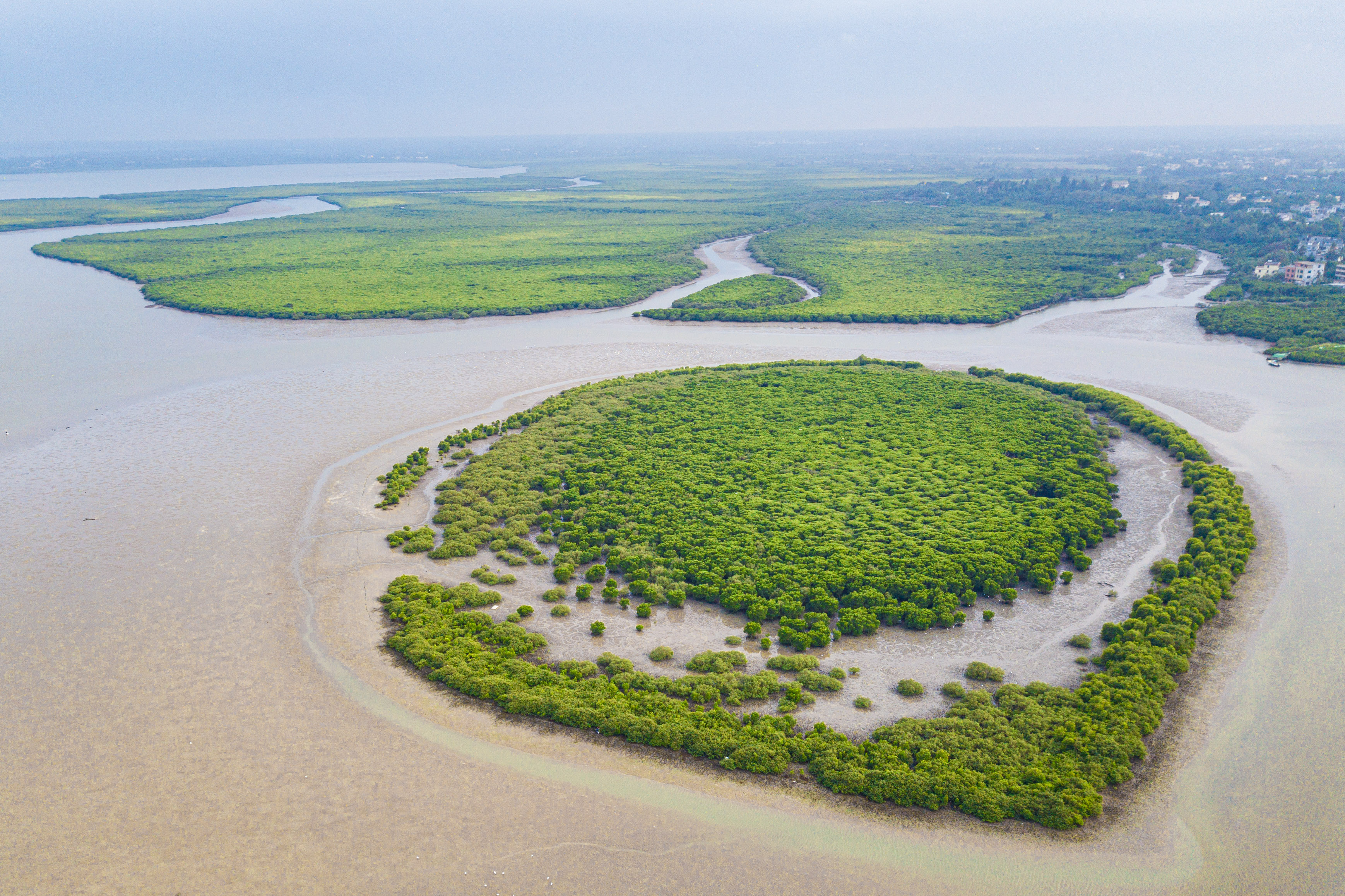 新华全媒 丨天空之眼瞰国际湿地城市——海口