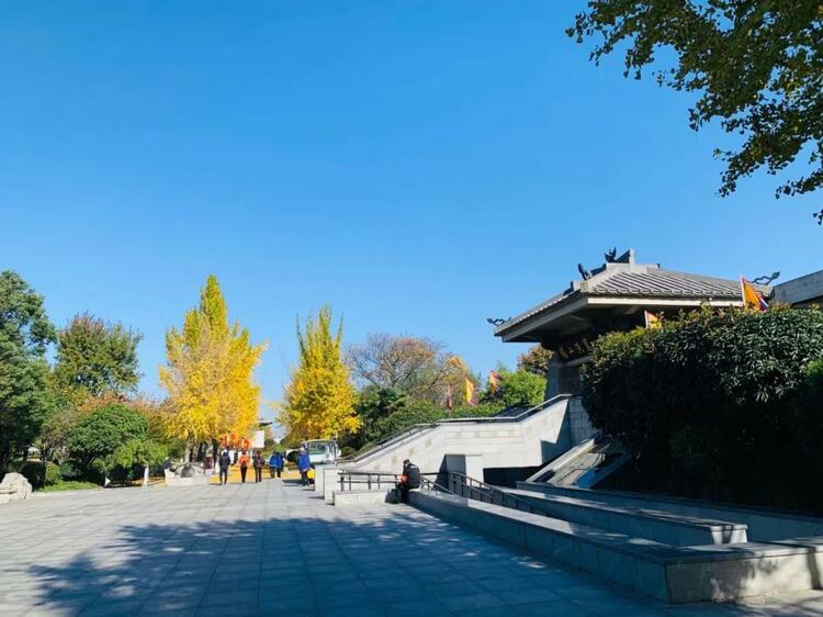徐州市鼓楼区:五彩斑斓龟山园
