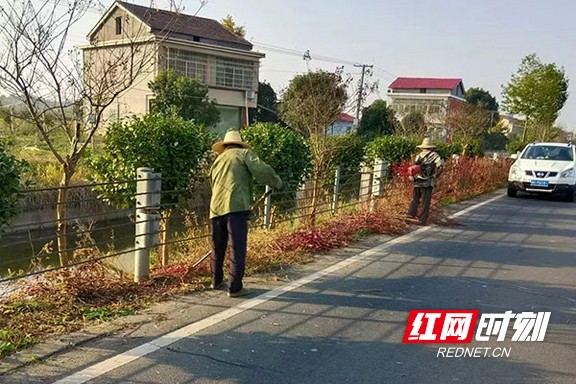 南县厂窖镇:持续整治人居环境 打好优化营商环境硬基础